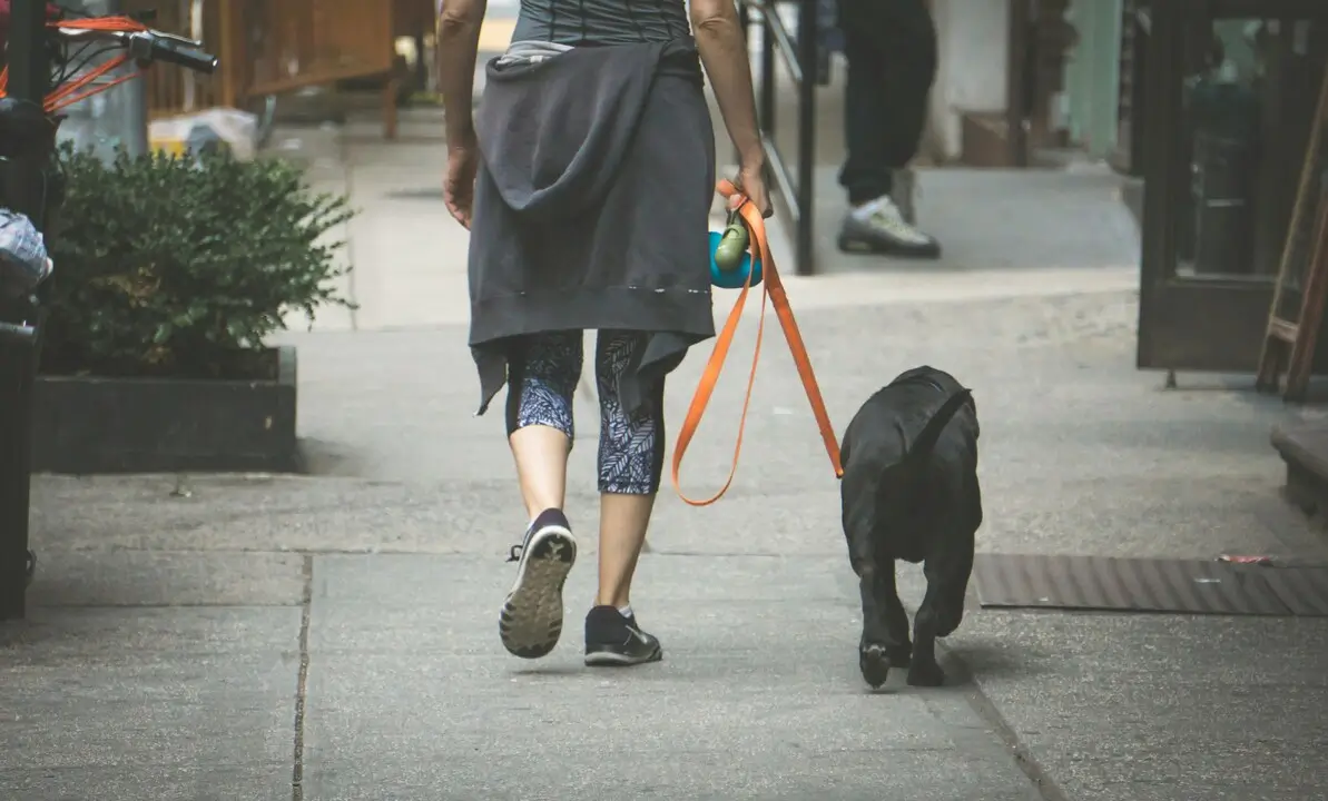 Passeio Individual